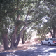 Image for article titled Watch This: Why Enthusiasts Fall out of Love with Cars